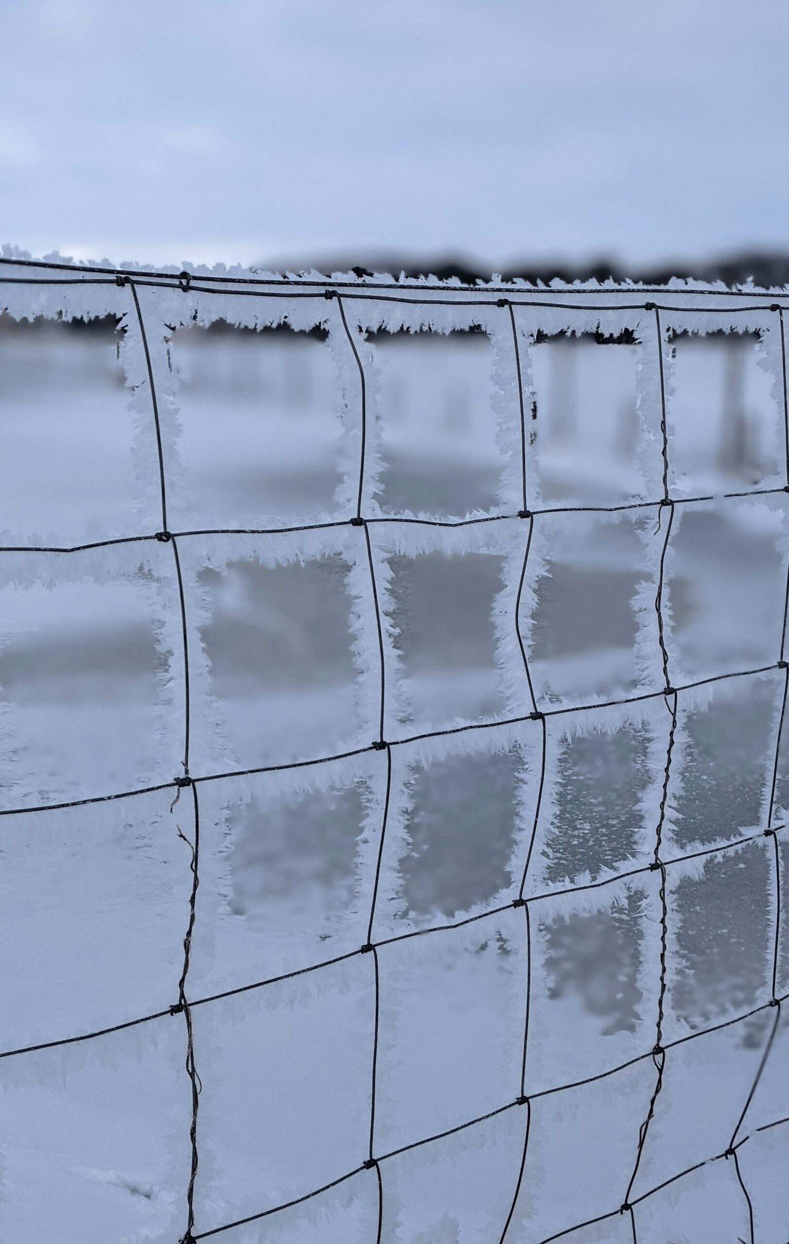 How Climate Conditions Shape the Future of Sports Events: Risks, Adaptation, and Resilience