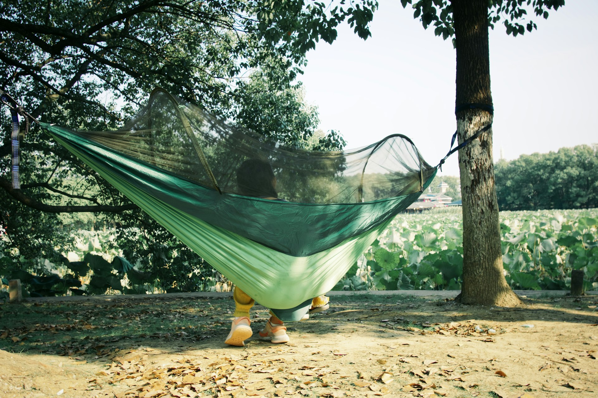Transform Your Routine: Practical Sustainable Hobbies for a Greener Lifestyle